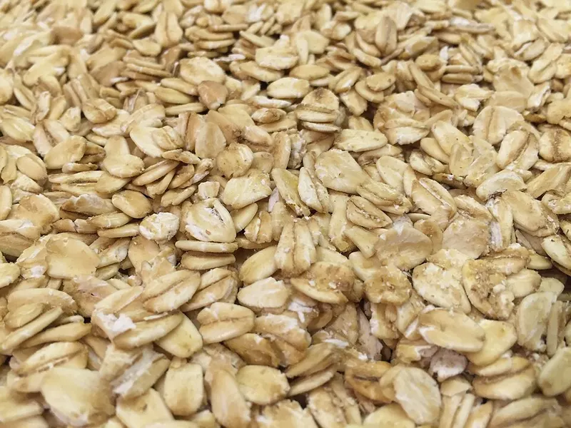Photograph of oats