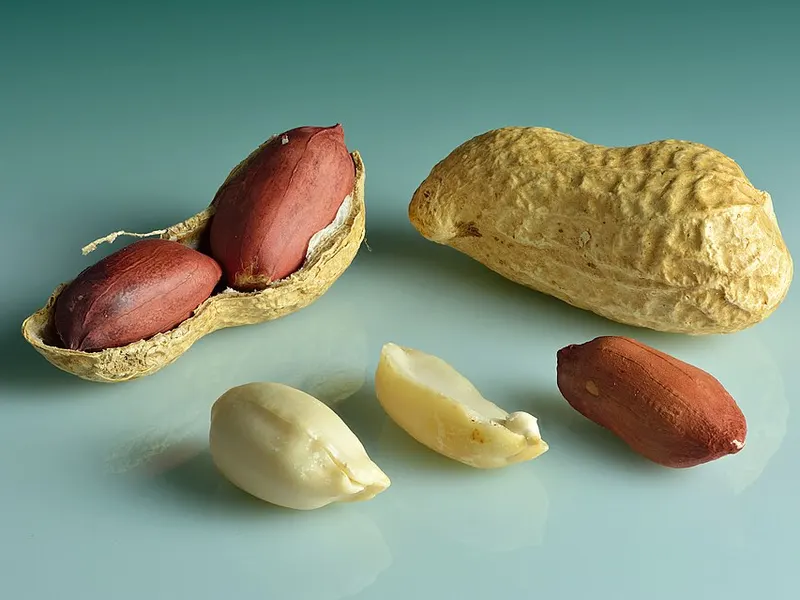 Photograph of peanuts