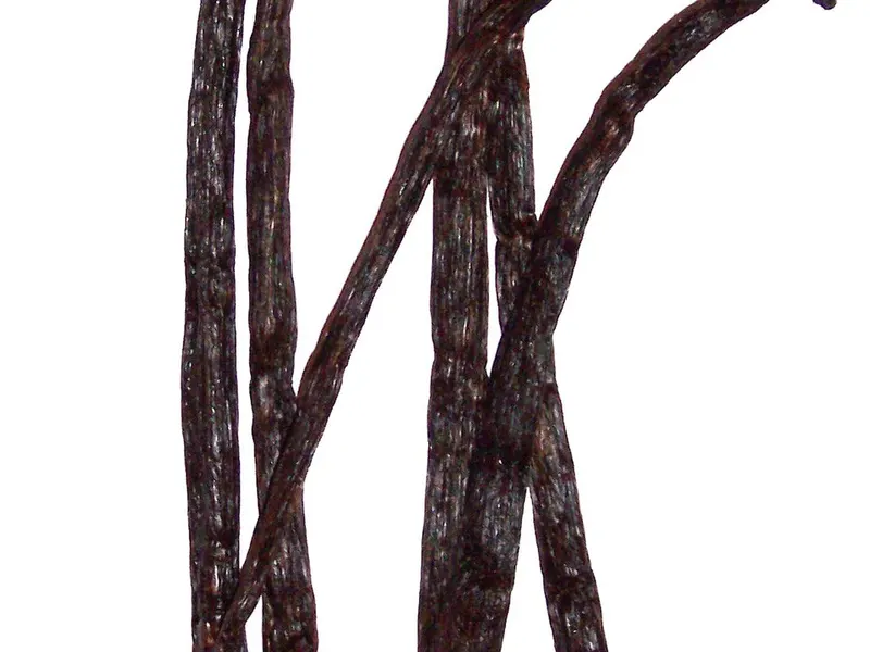 Photograph of vanilla