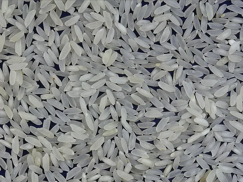 Photograph of white rice